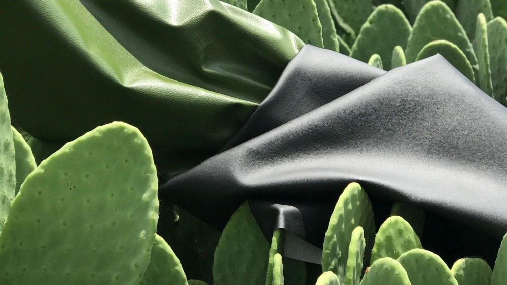 leather on cactus
