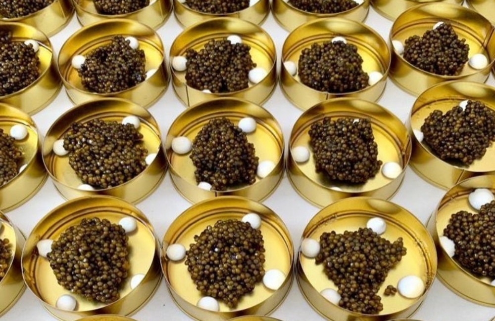 Sustainable caviar