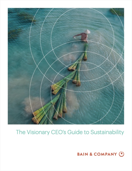 The Visionary CEO’s Guide to Sustainability